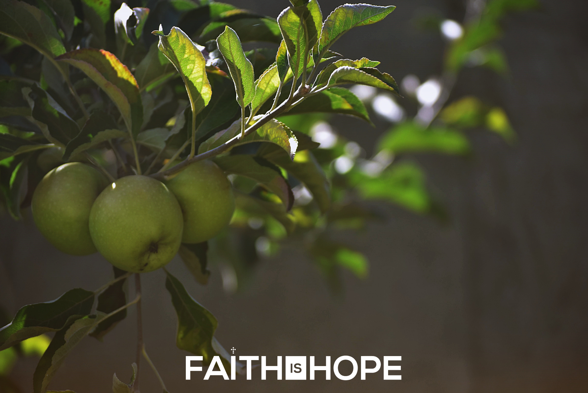 Faith-Is-Hope-Trees-Fruit